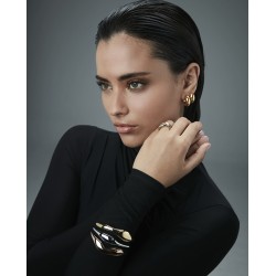 PENDIENTES VICEROY CHIC 75419E01012