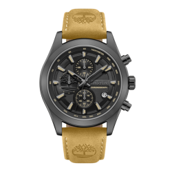 Timberland ASHMONT TDWGF0095102