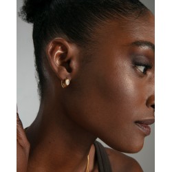PENDIENTES VICEROY CHIC 75439E01012
